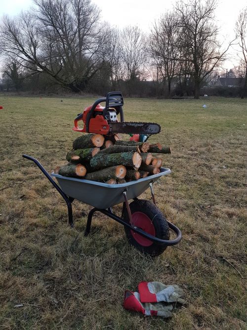 chainsaw firewood autumn