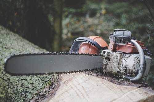 chainsaw  forestry  tree