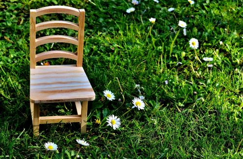 chair meadow wood