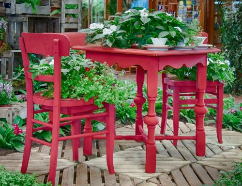 chair table plant