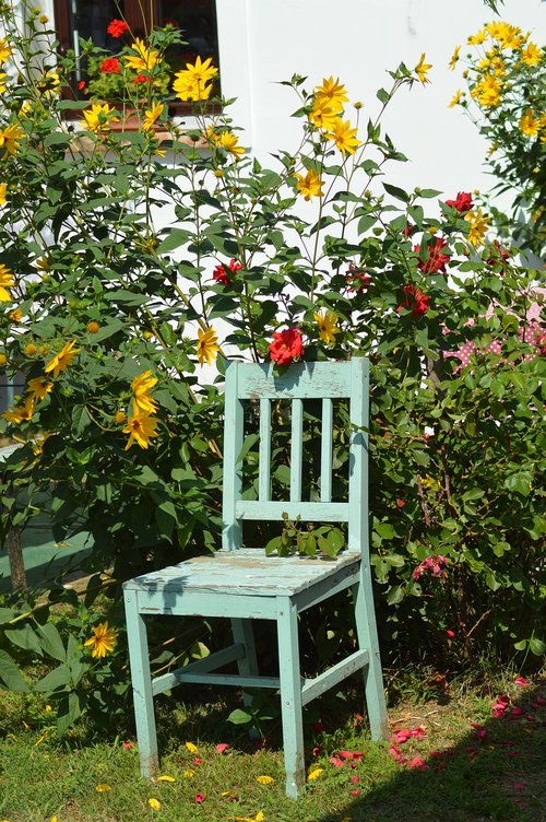 chair  colors  flower