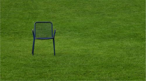 chair rush grass
