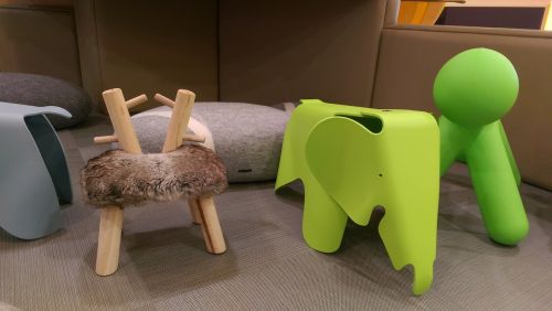 chair puppy elephants