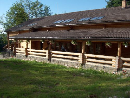 chalet wooden building home