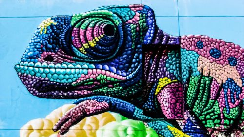 chameleon graffiti colour
