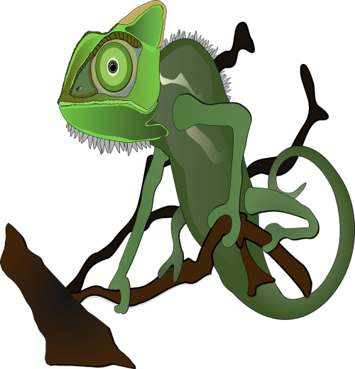chameleon green lizard