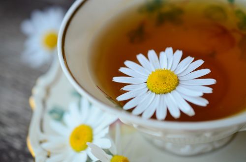 chamomile chamomile tea tee