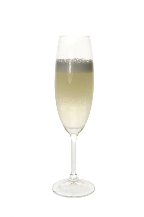 champagne celebrate alcohol