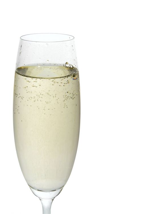 champagne celebrate alcohol