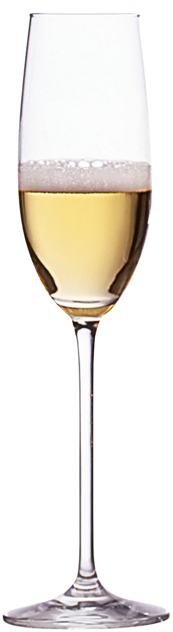 champagne  wine  glass