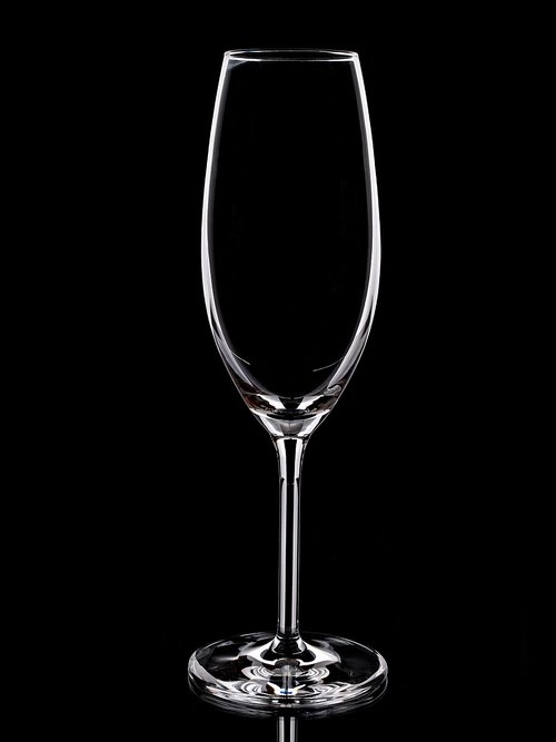 champagne glass  glass  drink