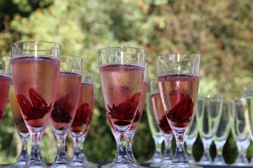 champagne glass red chilled