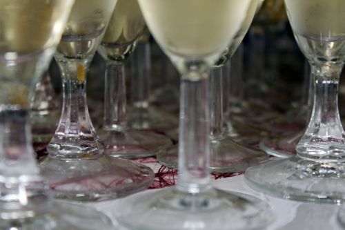 champagne glasses champagne glasses