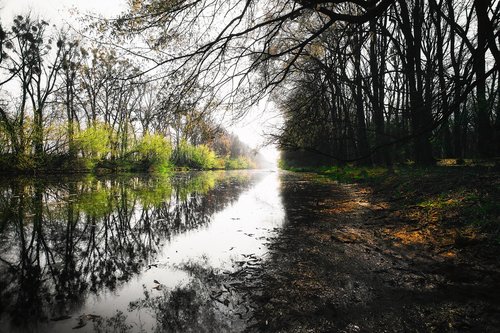 channel  river  water