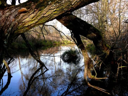 channel water reflection