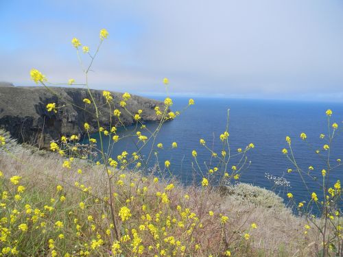 channel islands national park cliffs ocean