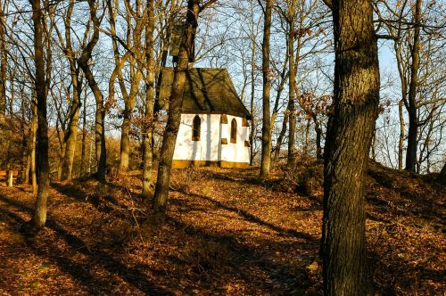 chapel small church autumn forest