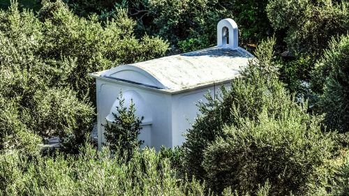chapel olive tree religion