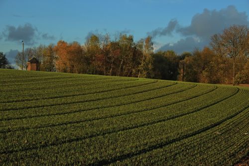 chapel fall furrow