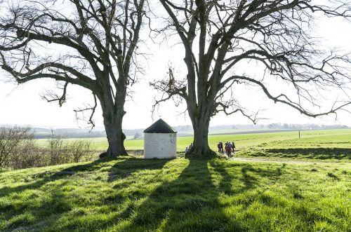 chapel condroz trees