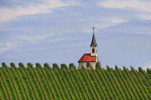 chapel vineyard nature