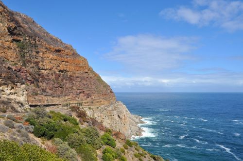 chapman's peak drive hout bay cape town