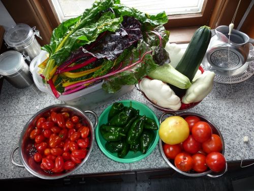 chard garden vegetables