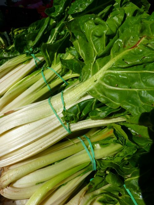 chard vegetables green