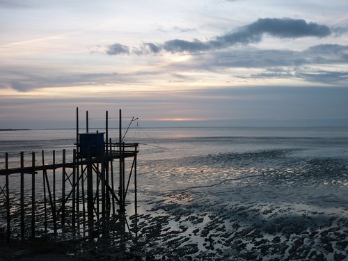 charente-maritime  plaice  twilight