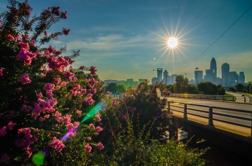 Charlotte City Skyline