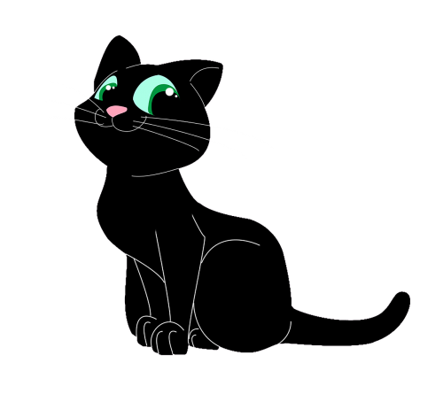 chat cat nero