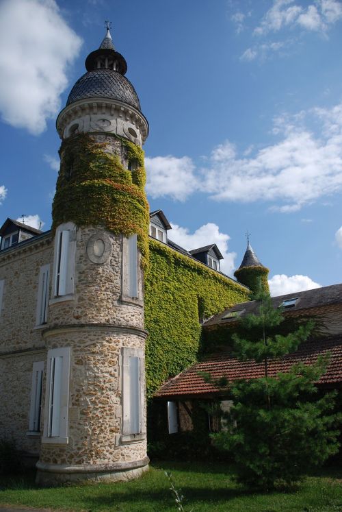 chateau tower ivy