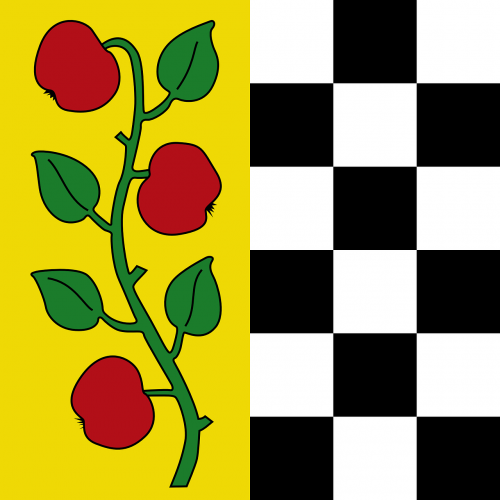 checkerboard tomatoes apples