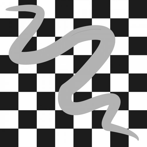 Checkerboard And Snake