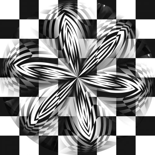 Checkerboard Petals