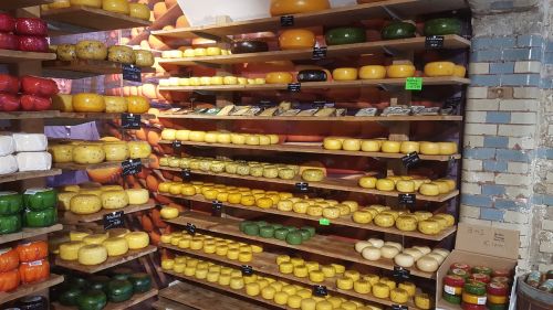 cheese amsterdam cheese dairy
