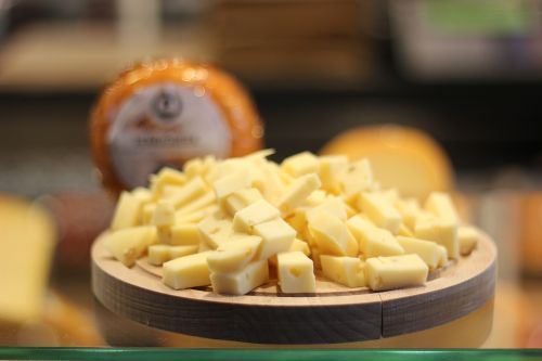 cheese food rotterdam