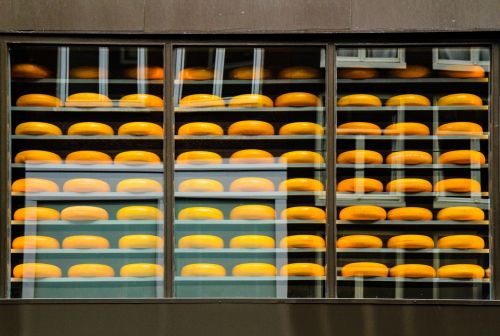 cheese amsterdam street