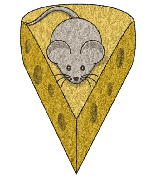 cheese rat mouse