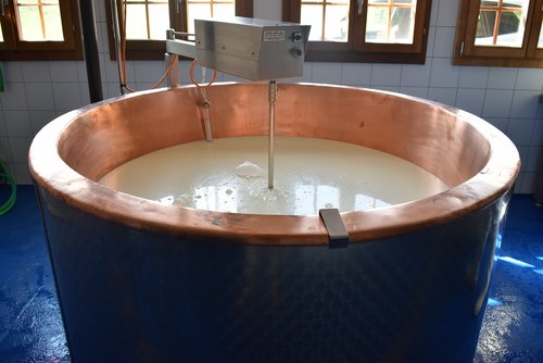 cheese  whey  manufacturing