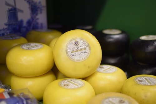 cheese  holland  yellow