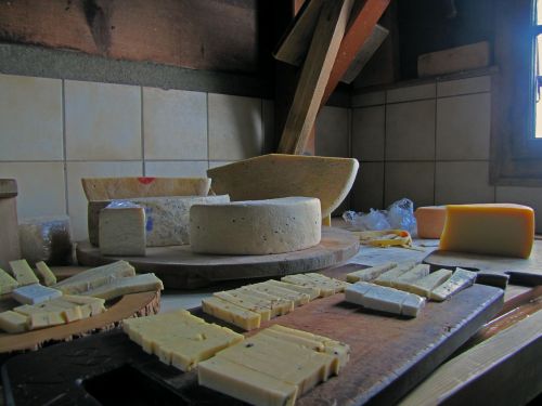 cheese cheese shop alp