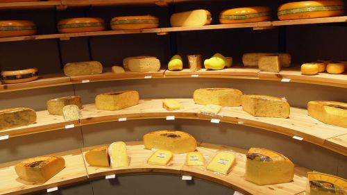 cheese types shop