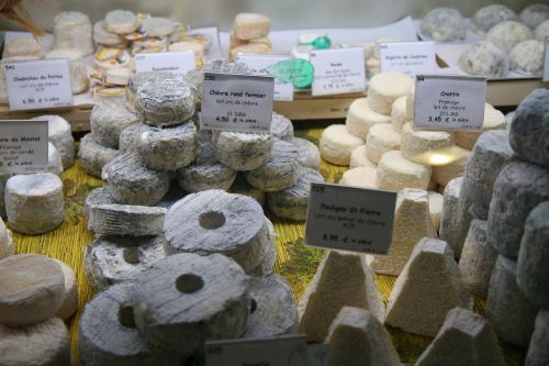cheese street food