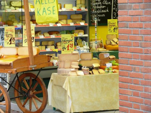 cheese shop holland delicious