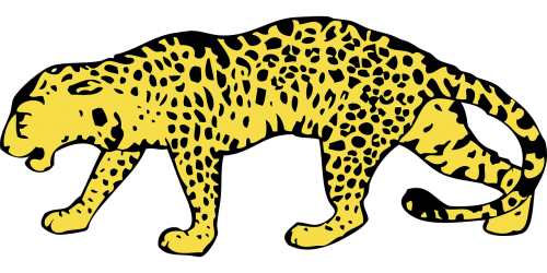 cheetah hunting-leopard leopard