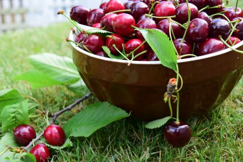 cherries bowl fruit