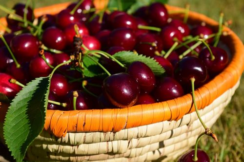 cherries basket fruit
