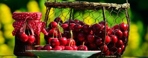 cherries cherry harvest fruits
