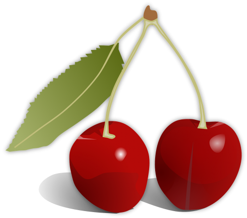 cherries leaf fruit